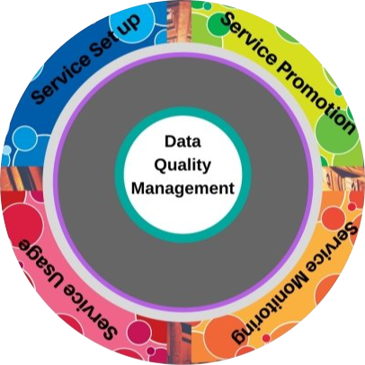 Data Quality Management